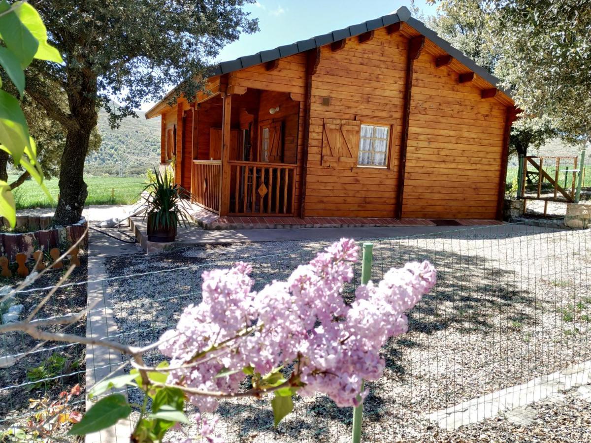 La Casa Del Estanque Villa Olocau del Rey Luaran gambar