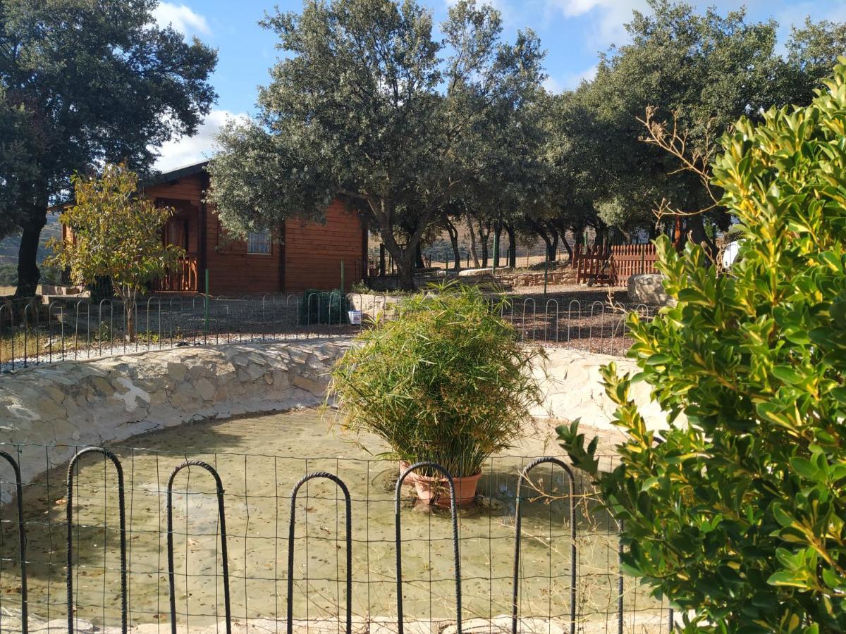 La Casa Del Estanque Villa Olocau del Rey Luaran gambar