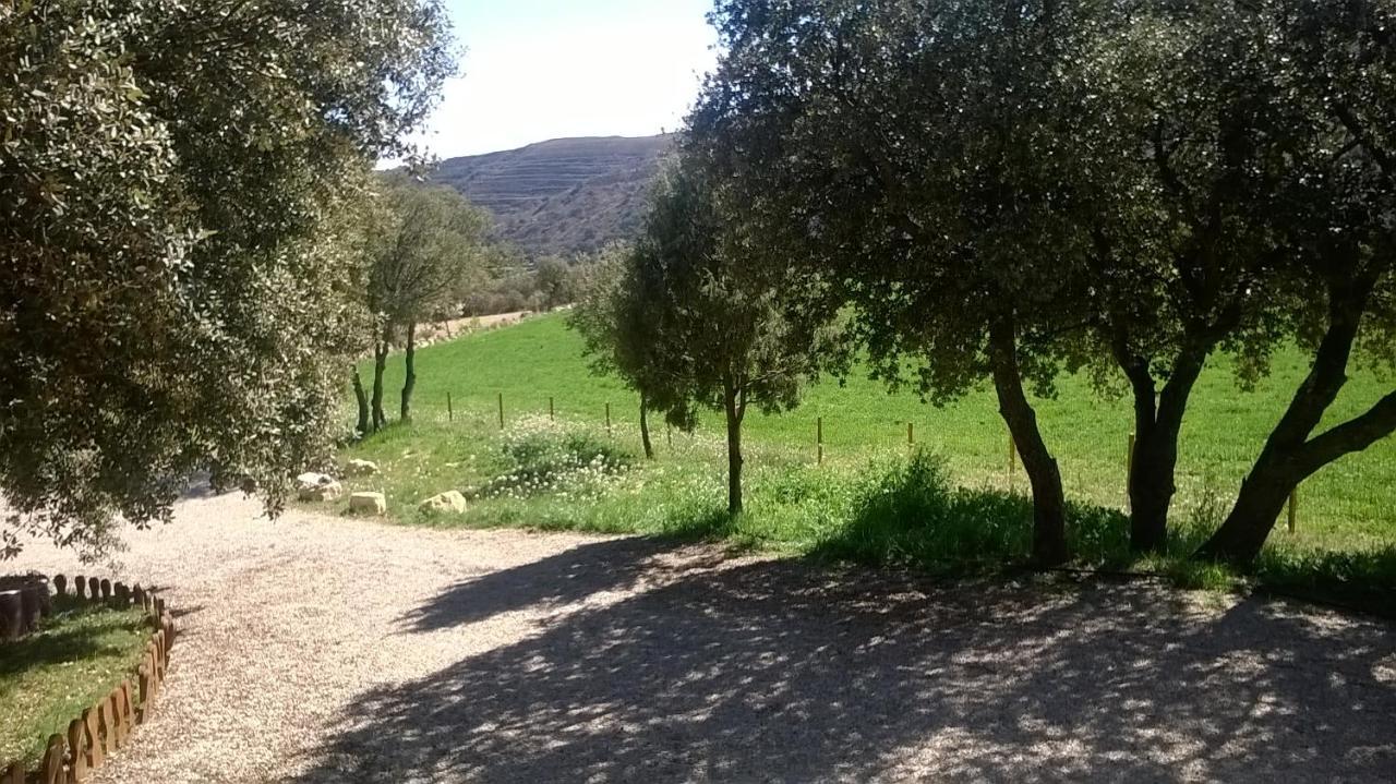 La Casa Del Estanque Villa Olocau del Rey Luaran gambar